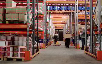 Плюс одна фобия. В Ивановском районе сельчанку напугала спрятавшаяся в диване змея