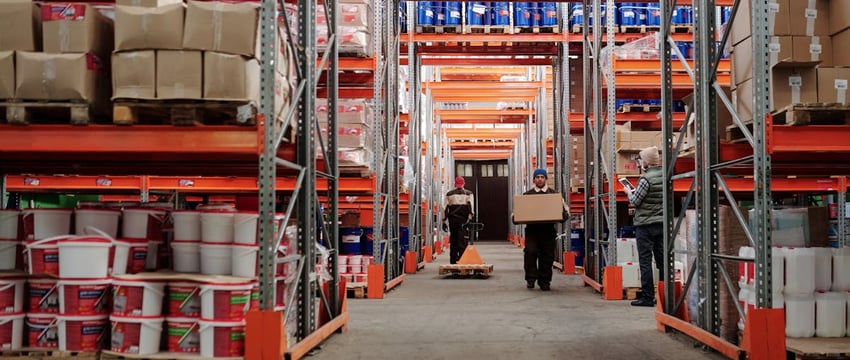 Плюс одна фобия. В Ивановском районе сельчанку напугала спрятавшаяся в диване змея