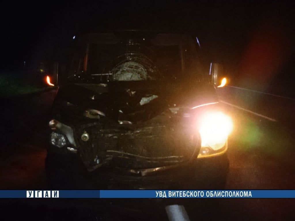 На М1 микроавтобус насмерть сбил пешехода