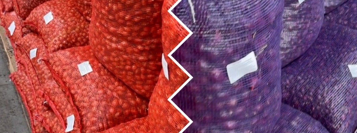 «Некоторые сорта можете и не найти» — Белорусам посоветовали быстрее купить лук-севок. Почем уже продают? — Видео