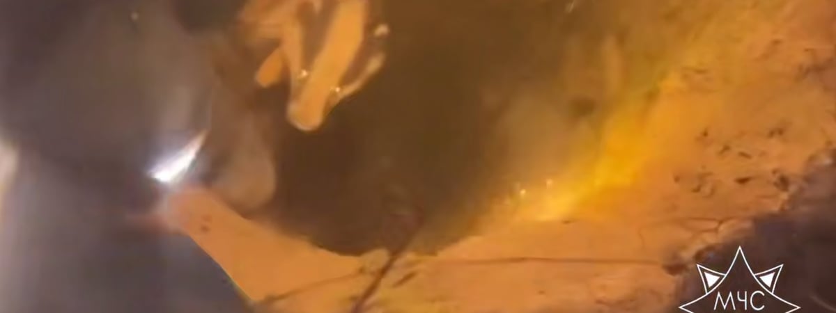 В Беларуси спасатели пришли на помощь… барсуку — что произошло