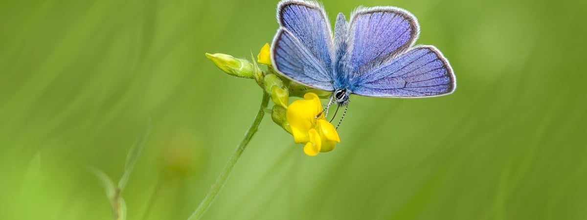 Цены на промпродукцию в Эстонии за 2024 года выросли на 1,1%