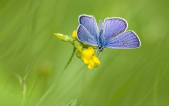 Цены на промпродукцию в Эстонии за 2024 года выросли на 1,1%