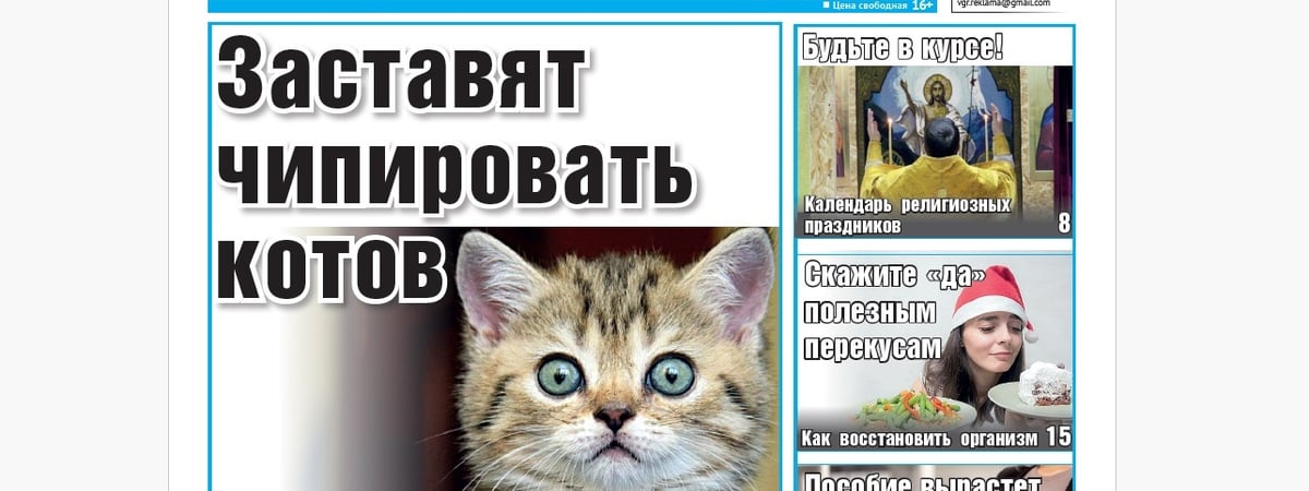 Новые правила содержания питомцев, все о пособиях и репортаж из церкви — анонс свежего номера газеты «Вечерний Гродно»