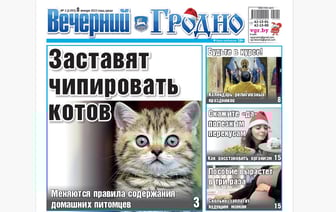 Новые правила содержания питомцев, все о пособиях и репортаж из церкви — анонс свежего номера газеты «Вечерний Гродно»