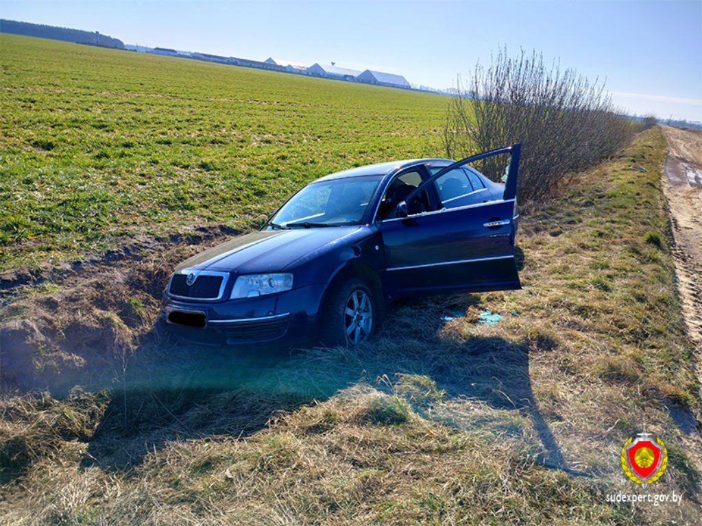 Девушка попросилась за руль автомобиля Skoda. Чем все закончилось? Случай в Брестской области