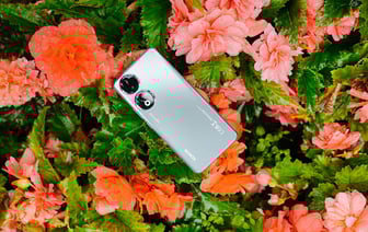 Акции и скидки от HONOR в Гомеле