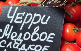 В Беларуси нашлись помидоры по 130 рублей за кило. Узнали, почему такая цена