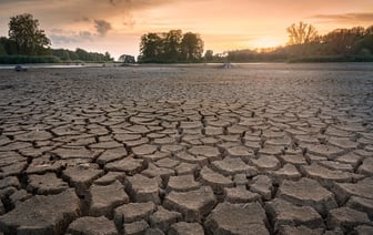 Из-за засухи уровень воды в самой длинной польской реке опустился до рекордно низкого уровня.