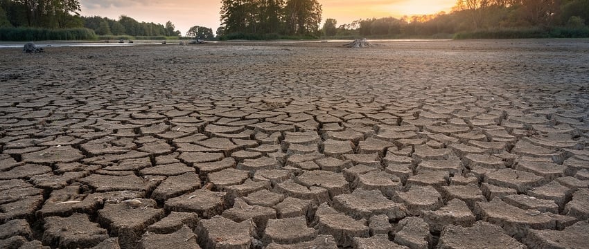 Из-за засухи уровень воды в самой длинной польской реке опустился до рекордно низкого уровня.