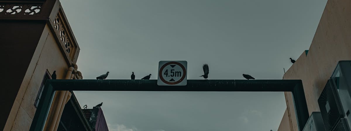 В Беларуси вводится требование сообщать в органы о заключении брака и рождении ребенка за границей