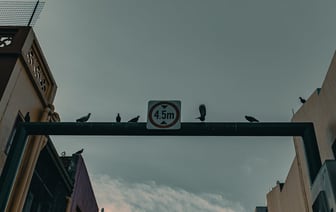 В Беларуси вводится требование сообщать в органы о заключении брака и рождении ребенка за границей