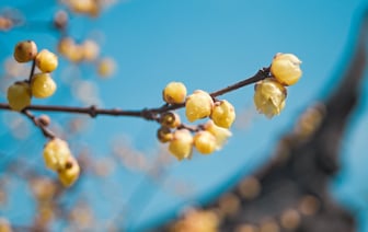 Китай в январе-феврале 2025 года снизил импорт российских удобрений на 13%