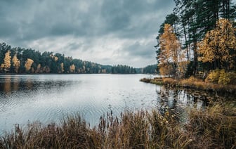 Эстония в 2024 году направит на оборону 3,4% ВВП