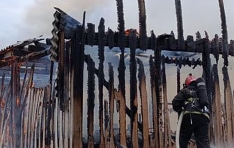 29 телят сгорели при пожаре в Толочинском районе