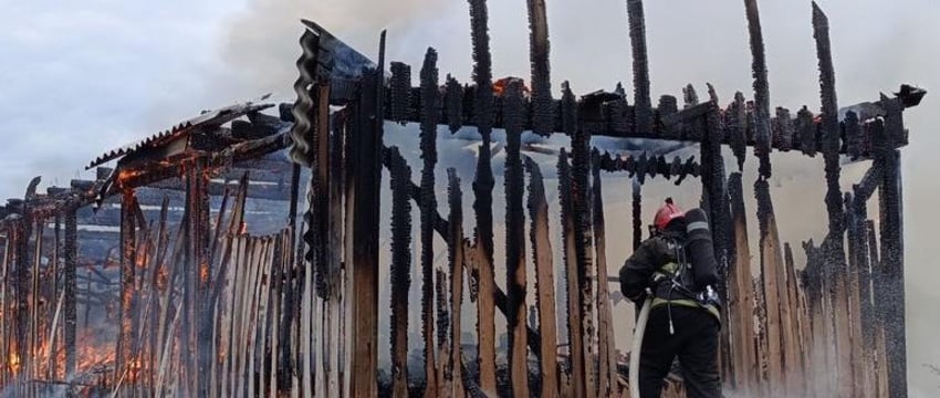 29 телят сгорели при пожаре в Толочинском районе