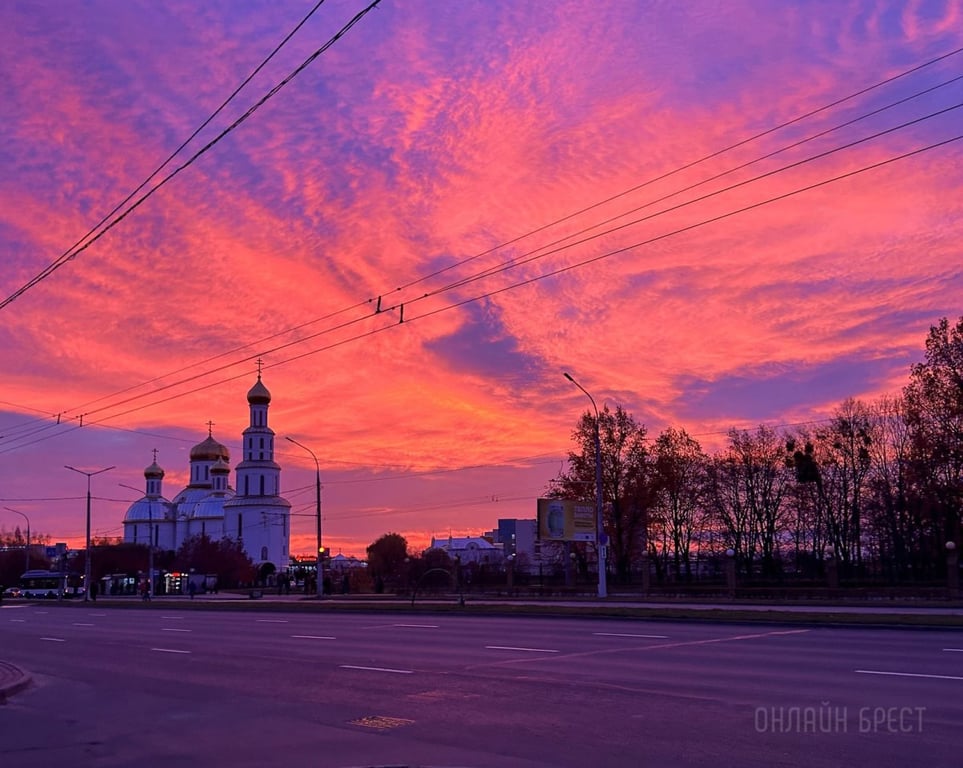 Фото носит иллюстративный характер
