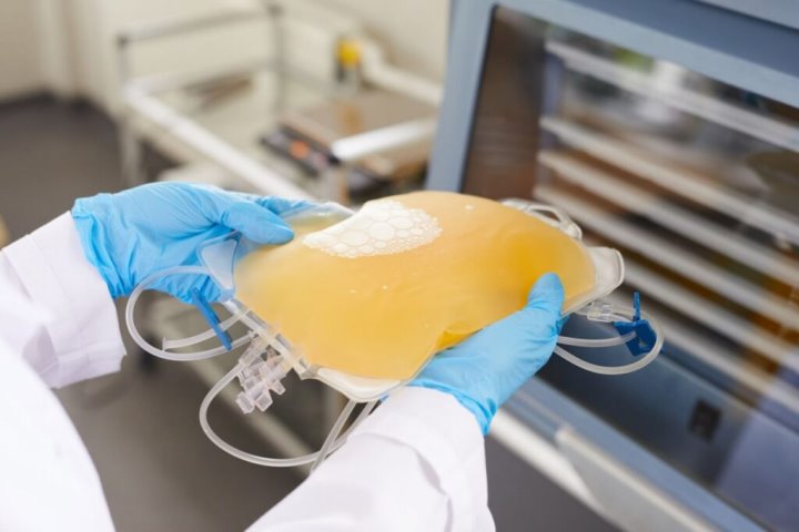 Фото из открытых источников (иллюстративное)