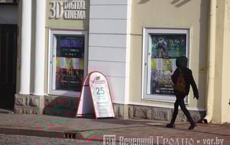 В Беларуси на выборах депутатов досрочно проголосовал каждый четвертый избиратель