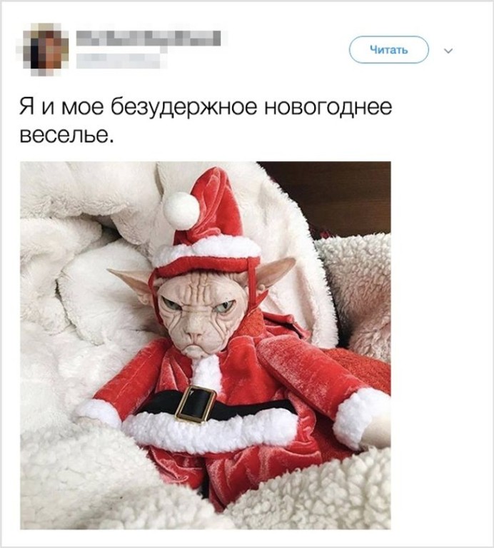 10 наглядных доказательств того, что Новый год в 20 и в 30 лет – это два разных праздника