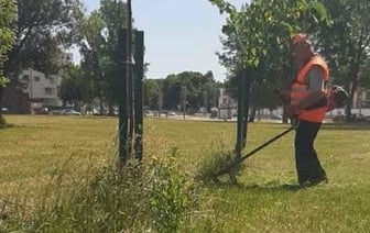 Трава у дома: в какое время можно косить триммером или мотокосой