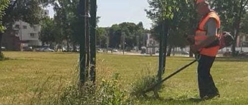 Трава у дома: в какое время можно косить триммером или мотокосой