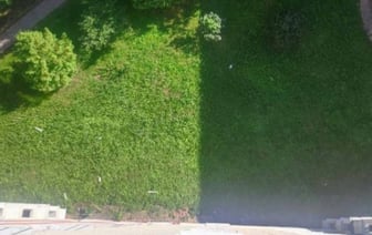 В Беларуси женщина выбросила собаку из окна 9 этажа