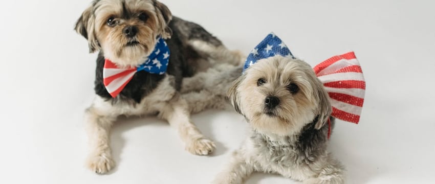 Лукашенко поздравил литовцев, а не руководство с национальным праздником и посетовал на прекращение экономических связей