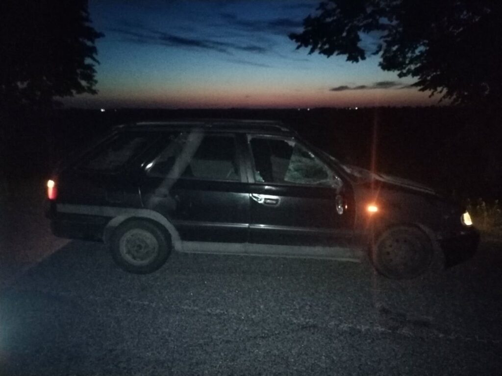 Лось попал под колеса авто в Ляховичском районе