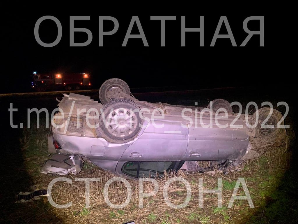 В Каменецком районе пьяный бесправник угнал машину и вылетел в кювет