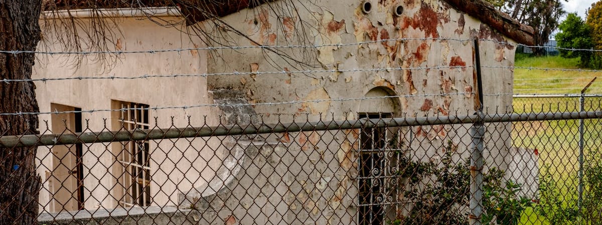 Сотни сирийцев отозвали ходатайства об убежище на Кипре после падения Асада