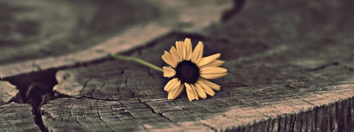 Бужанский: Хороших новостей больше не будет. К этому нужно просто привыкнуть