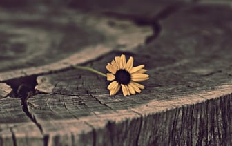 Бужанский: Хороших новостей больше не будет. К этому нужно просто привыкнуть