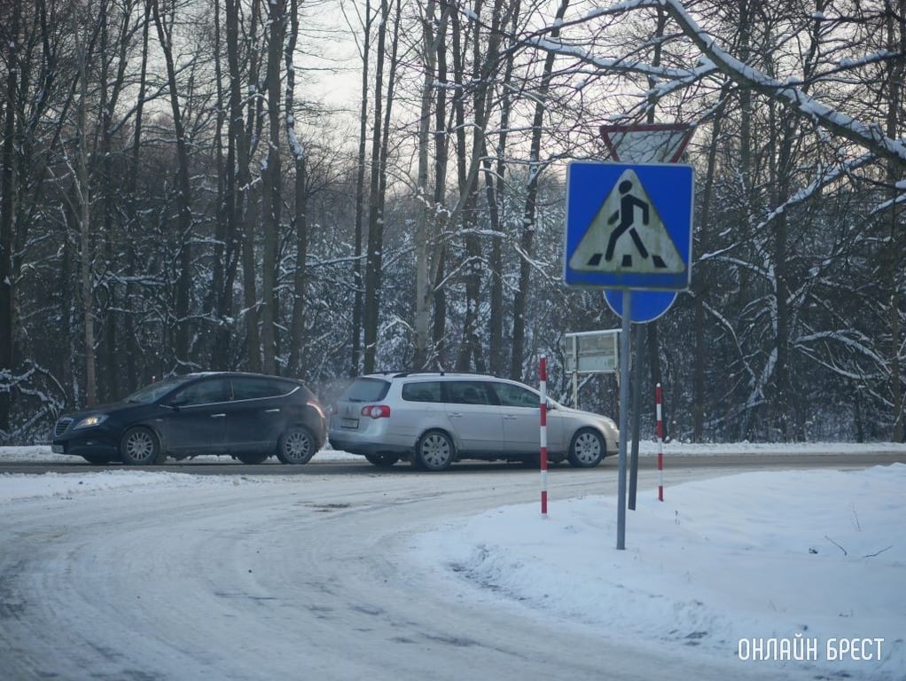 Фото носит иллюстративный характер