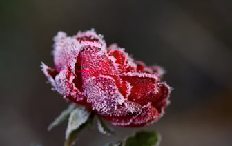 Рекордные морозы в Докшицах и Верхнедвинске