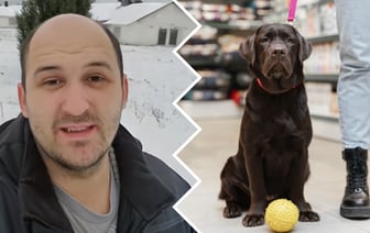 «Если нет лишних 100$ каждый месяц, не заводите» — Кинолог раскрыл белорусам реальные расходы на собаку — Полезно