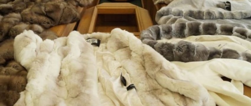 Проверка на границе: шубы и декларирование