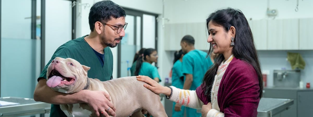 Когда Польша начнет сбивать российские ракеты над Украиной? Генерал назвал условие