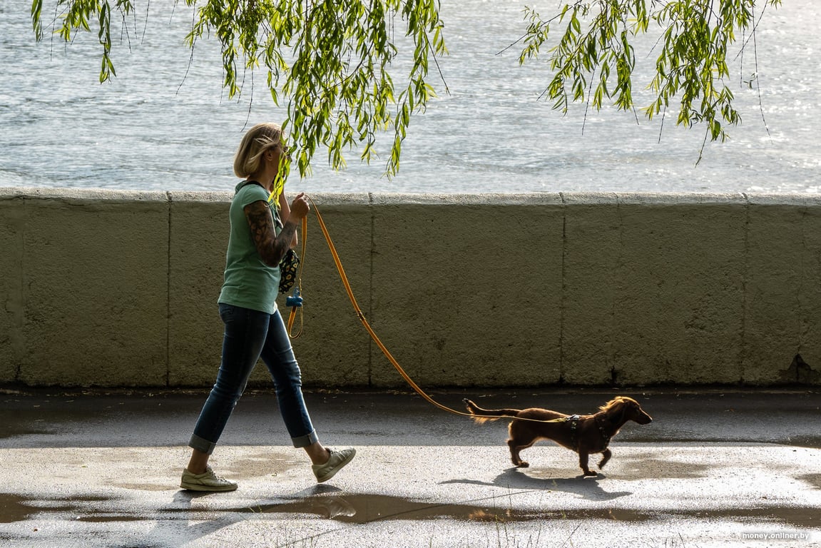 Как лечат пациентов в первом в Беларуси кабинете боли