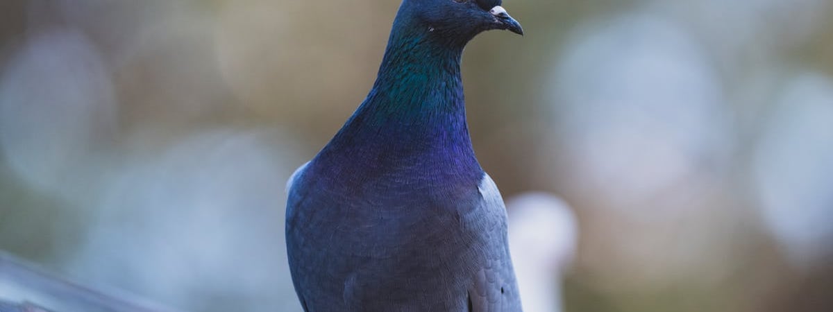 Беларусь представит в МАГАТЭ нацдоклад по обращению с отработавшим ядерным топливом и радиоактивными отходами