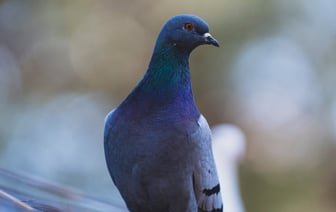 Беларусь представит в МАГАТЭ нацдоклад по обращению с отработавшим ядерным топливом и радиоактивными отходами