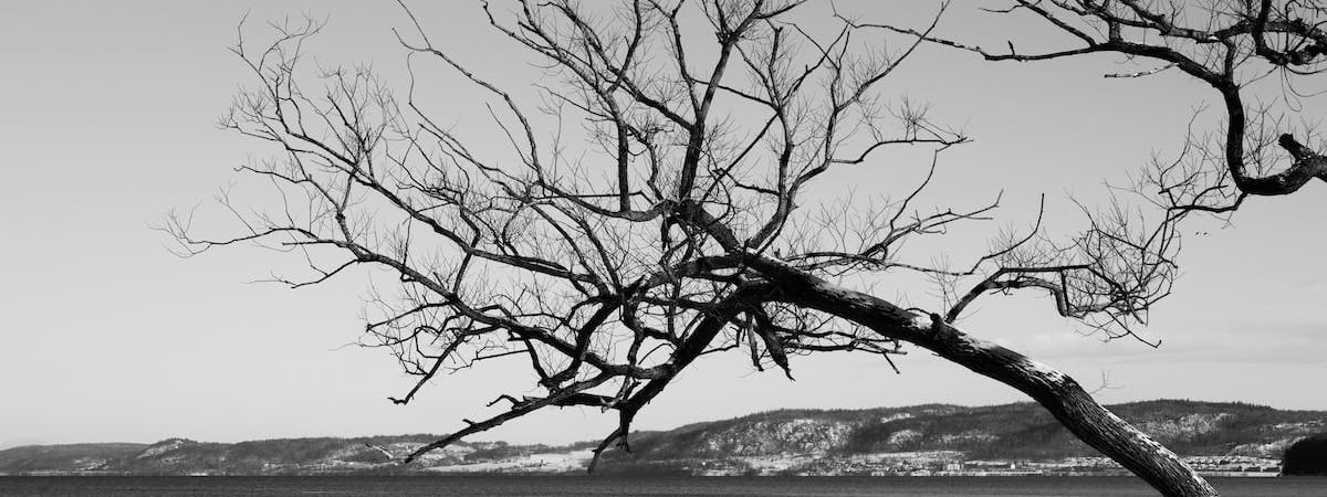 Продажи грузовиков МАЗ в России в январе упали на 27,8%