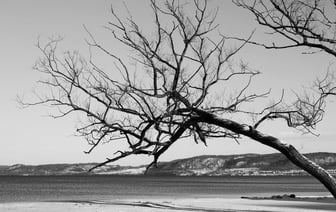 Продажи грузовиков МАЗ в России в январе упали на 27,8%