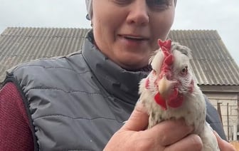 Видео из белорусской деревни о курах, несущих зеленые и голубые яйца, набрало полмиллиона просмотров — Видео