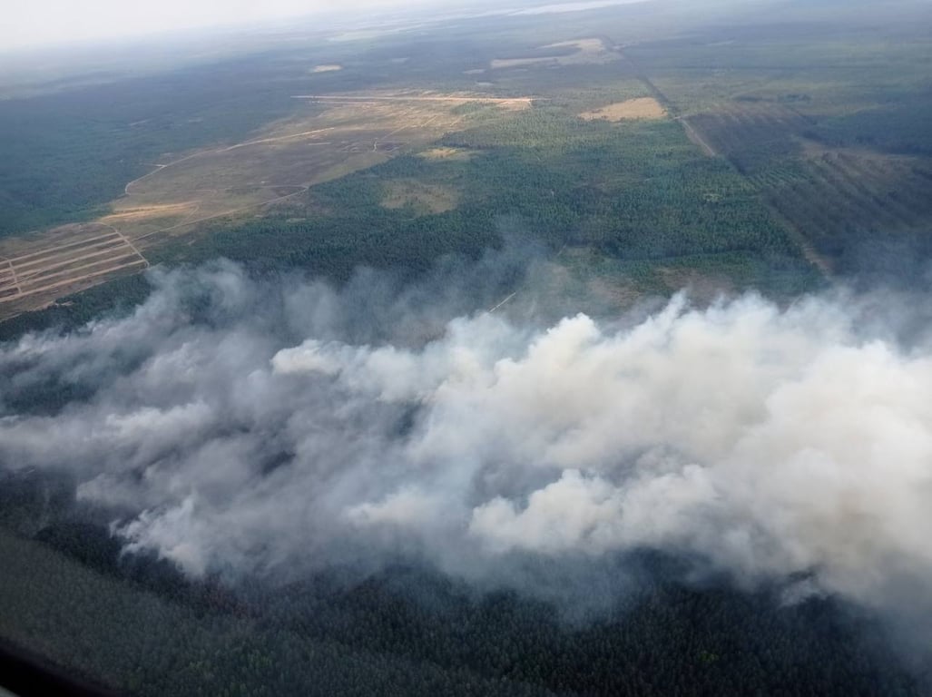 МЧС показало кадры тушения лесного пожара возле Ружан в Брестской области