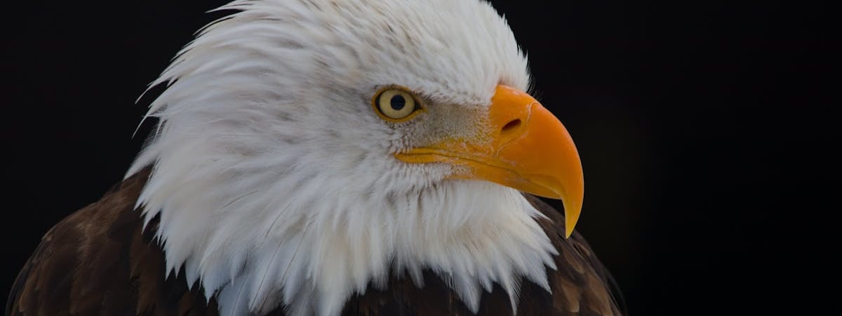 «Обстановка сложная» — Глава ГПК рассказал, как «усиливается» Украина на границе с Беларусью