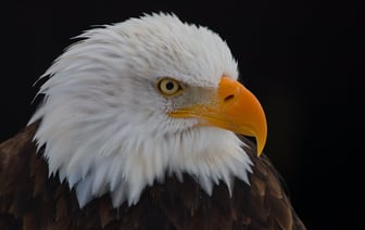 «Обстановка сложная» — Глава ГПК рассказал, как «усиливается» Украина на границе с Беларусью