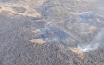 В Беларуси зафиксировали первые лесные пожары. Где? — Видео
