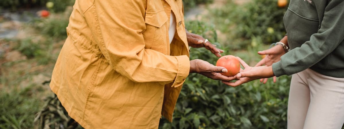 Украина расширяет производство техники для разминирования
