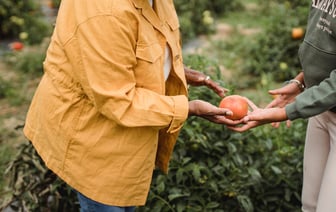 Украина расширяет производство техники для разминирования